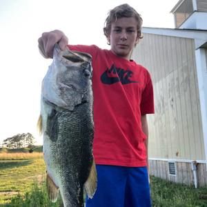 Meet your Posher, Jackson